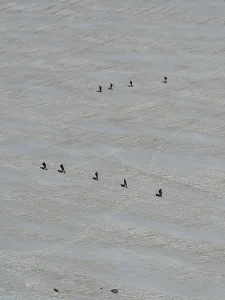 Punta Helbronner, Monte Bianco - Alpinisti