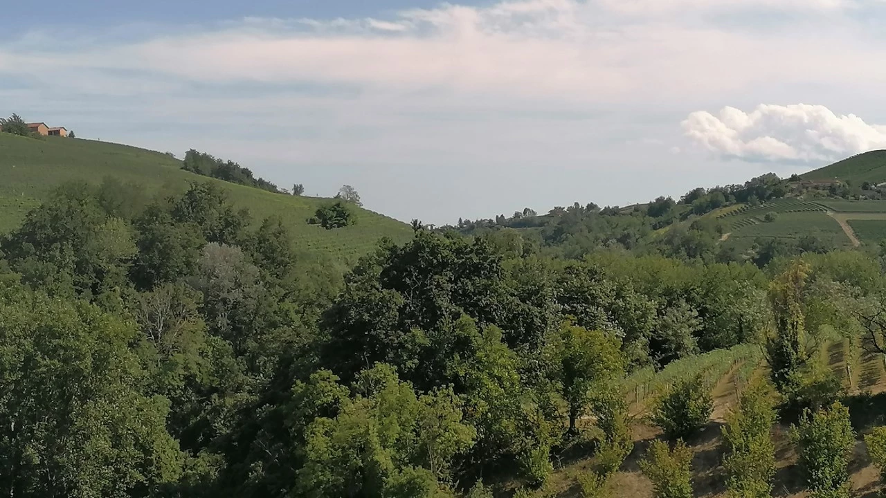 Barolo, vista Langhe