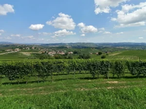 La Morra, vista Langhe