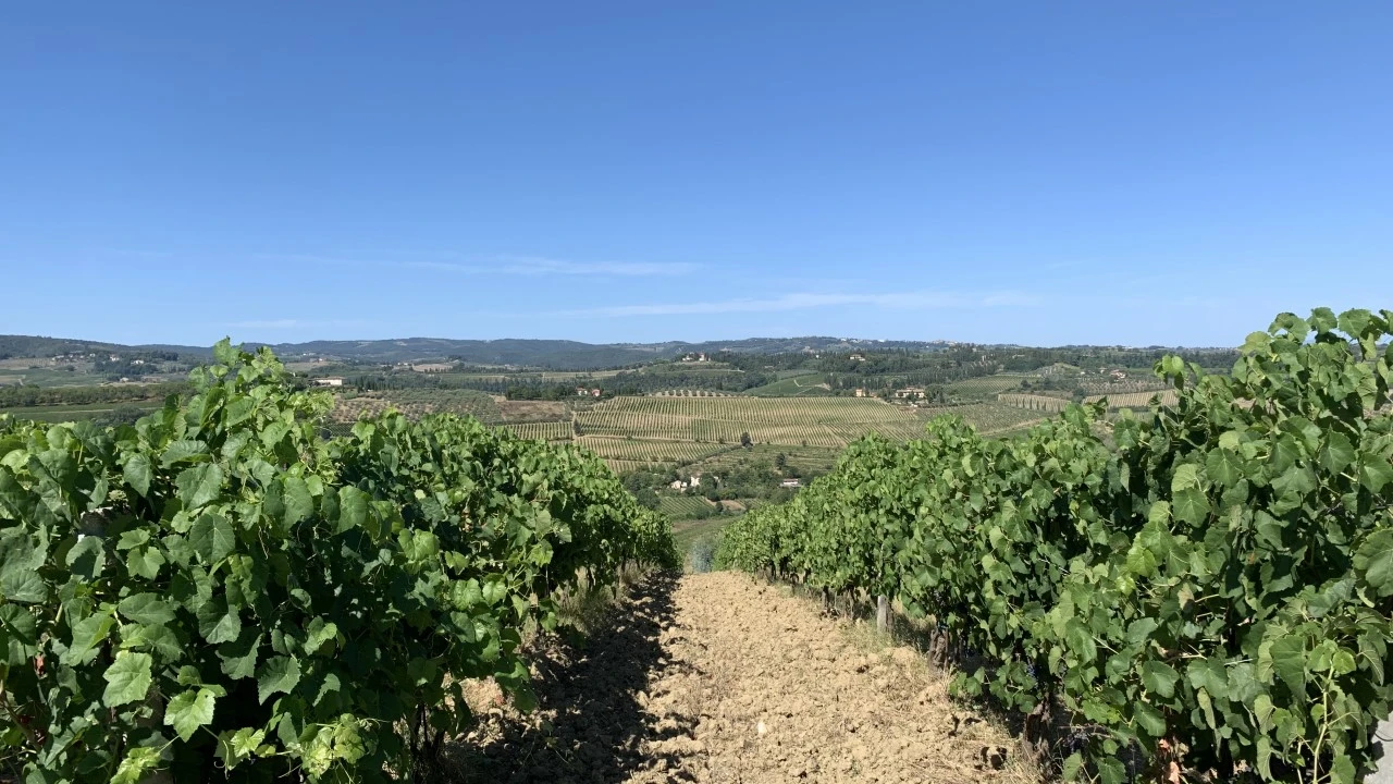 Vista panoramica del Chianti, Toscana