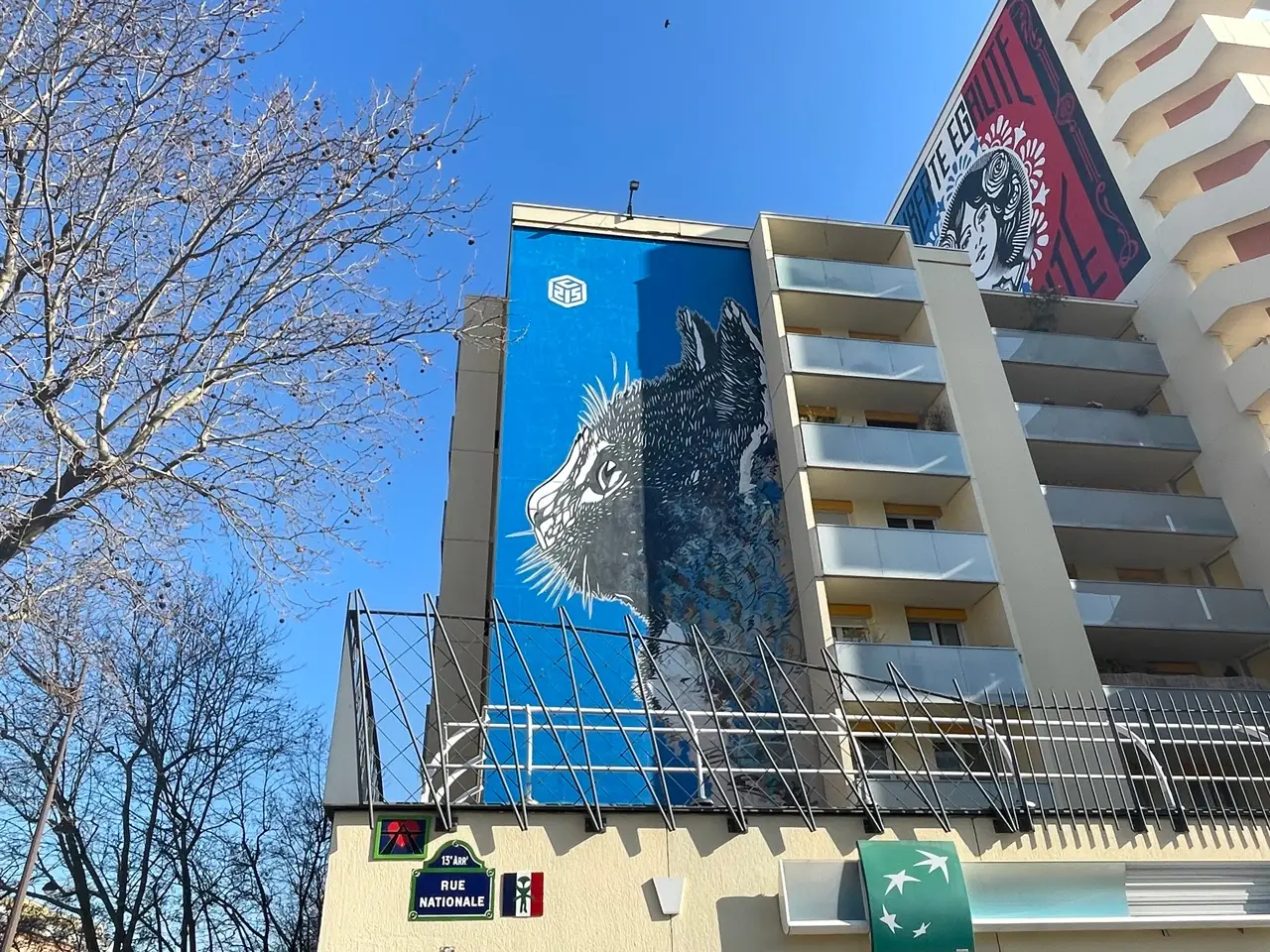 Parigi street art, murales gatto